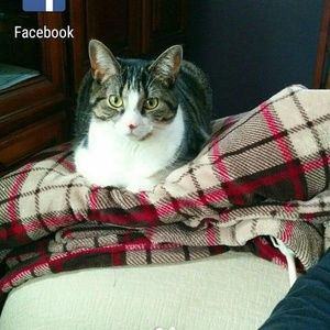 Meet your Posher, Barbara